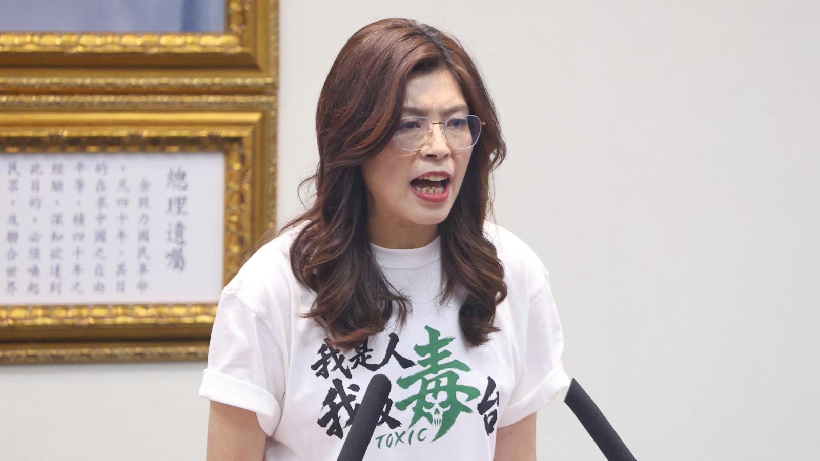 「台灣從未獨立過!」鄭麗文嗆民進黨自欺欺人:當前和平是靠中華民國憲法