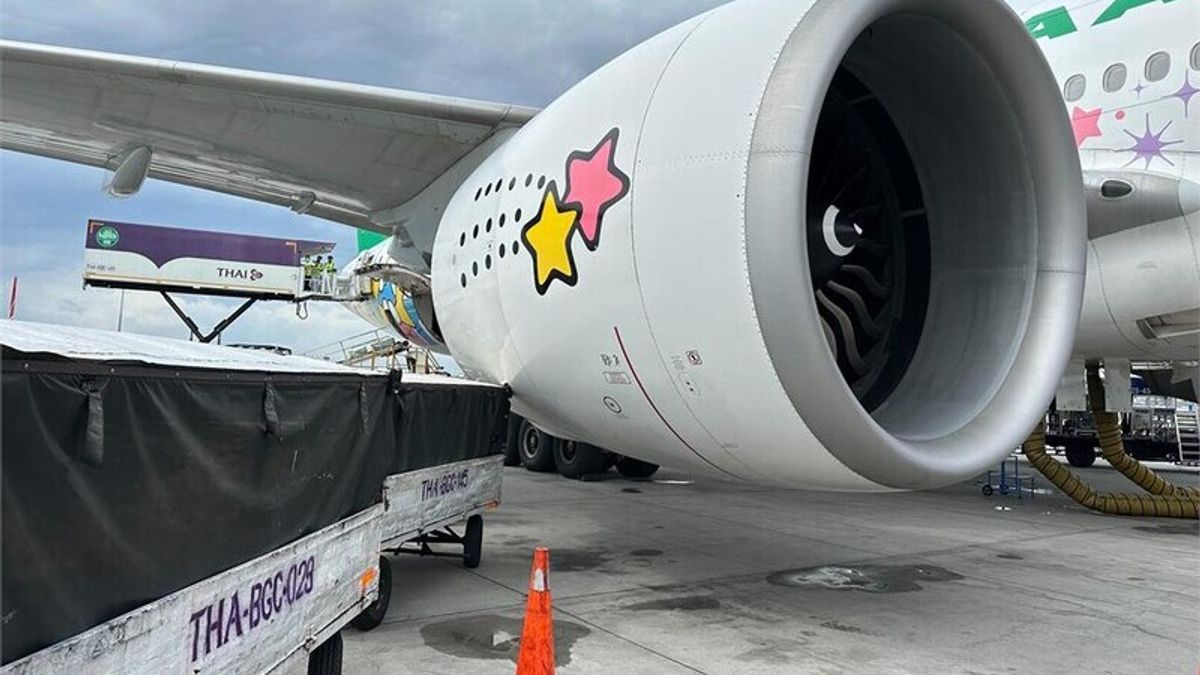 長榮航空班機在曼谷機場遭地勤行李櫃撞擊,造成破損。(圖/翻攝自ptt) 長榮航空班機在曼谷機場遭地勤行李櫃撞擊,造成破損。(圖/翻攝自ptt)