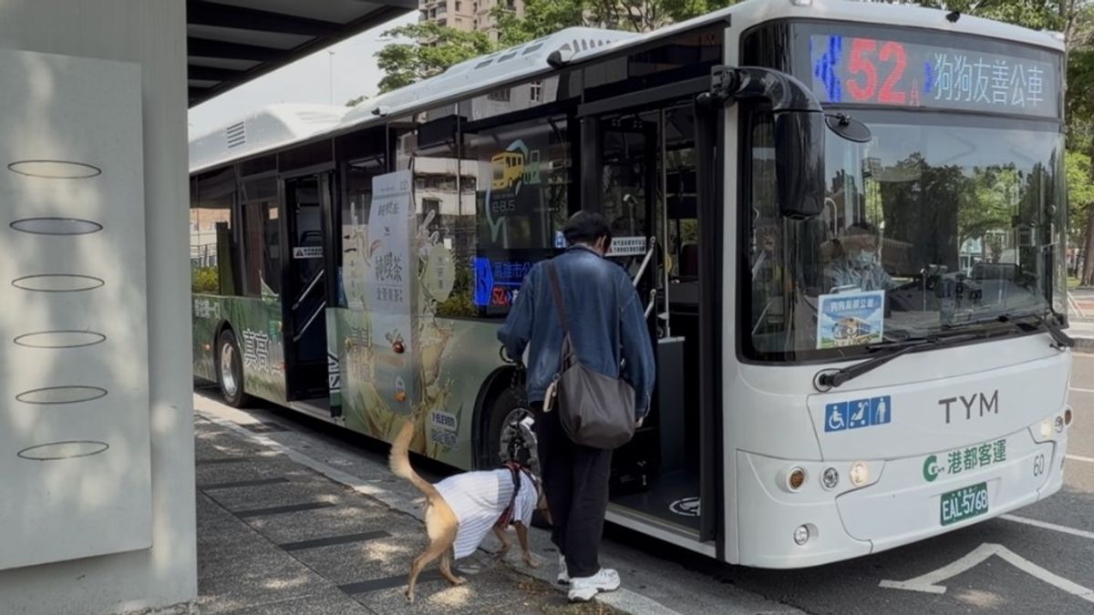 毛孩也能搭公車!高雄首推假日狗狗友善路線免裝籠