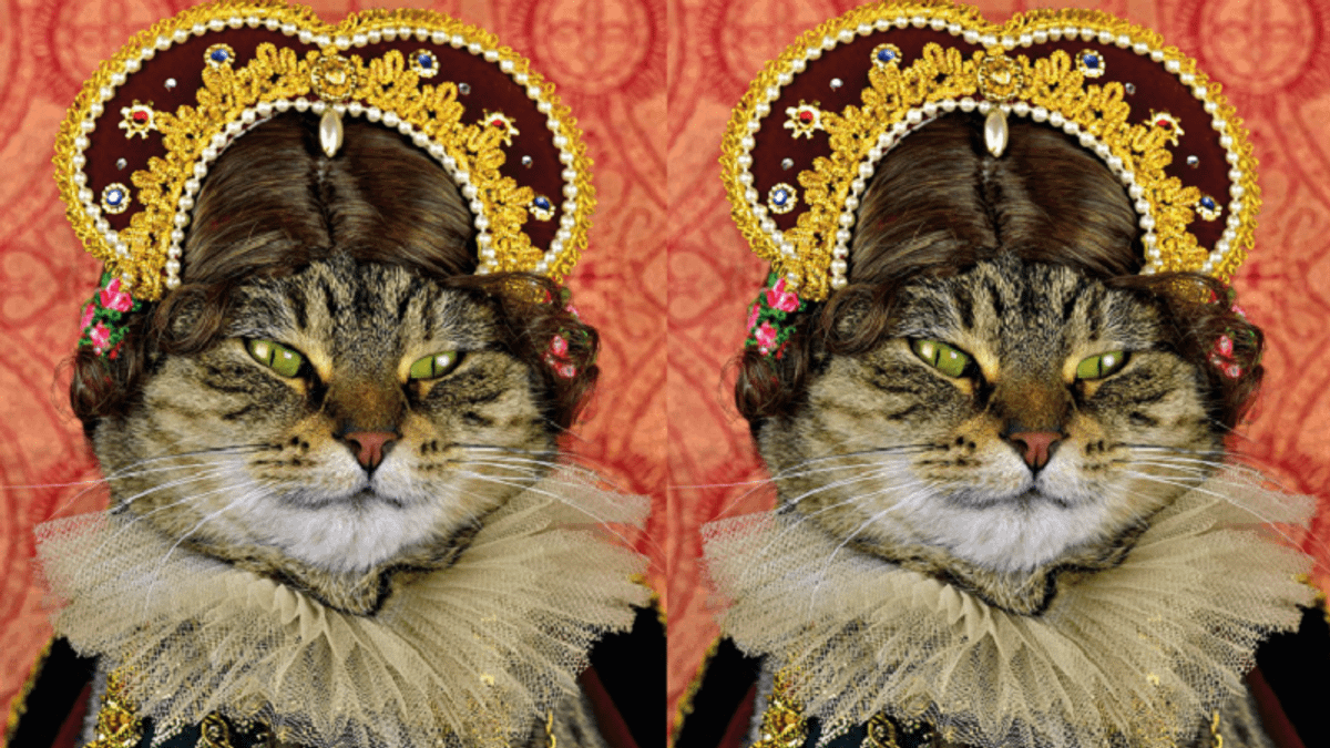 喵皇示意圖。(麥田出版提供) 喵皇示意圖。(麥田出版提供)