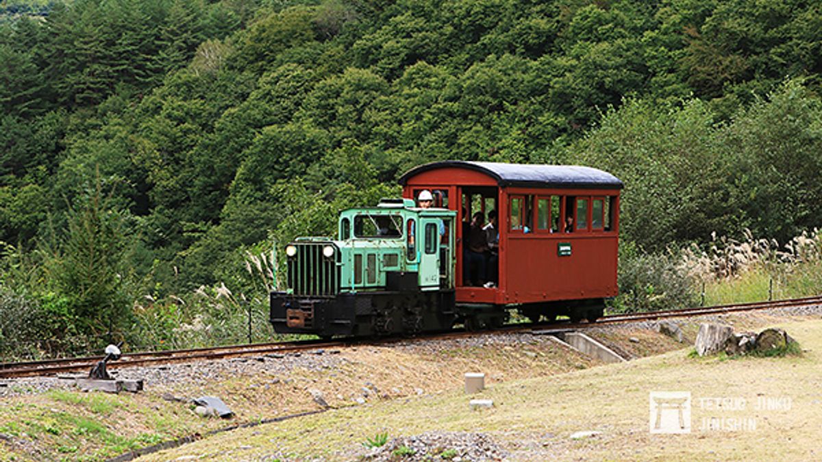 這條「日本版」的阿里山森林鐵道,每三年舉辦一次嘉年華,遊客可以坐進狹小的林鐵車廂,感受昔日鐵路風情。(圖/作者提供) 這條「日本版」的阿里山森林鐵道,每三年舉辦一次嘉年華,遊客可以坐進狹小的林鐵車廂,感受昔日鐵路風情。(圖/作者提供)