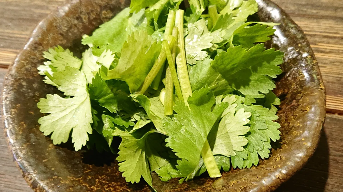香菜買回家千萬別直接放冰箱!大廚教1招延長保鮮期限。(示意圖/取自photo-ac)