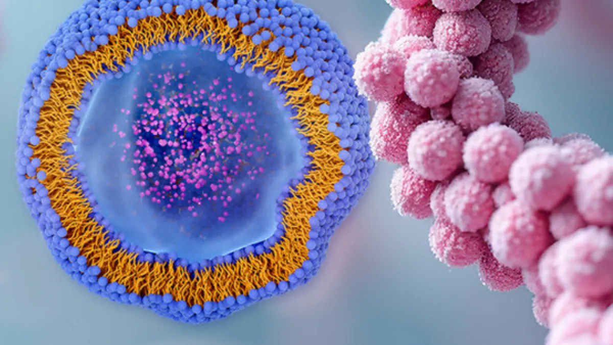 Waters Launches Industry-First Reversed-Phase Bioseparation Columns to Deliver Up to 3x Faster GLP-1 Characterization and 2x Faster LNP Component Analysis