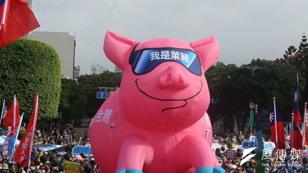 作者改編《動物農莊》故事橋段,說明台灣萊豬議題。(資料照,柯承惠攝) 作者改編《動物農莊》故事橋段,說明台灣萊豬議題。(資料照,柯承惠攝)