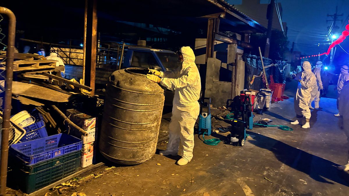 非洲豬瘟「防疫預算被刪」釀禍?農業部這樣回 報告詳解「實際少了多少錢」