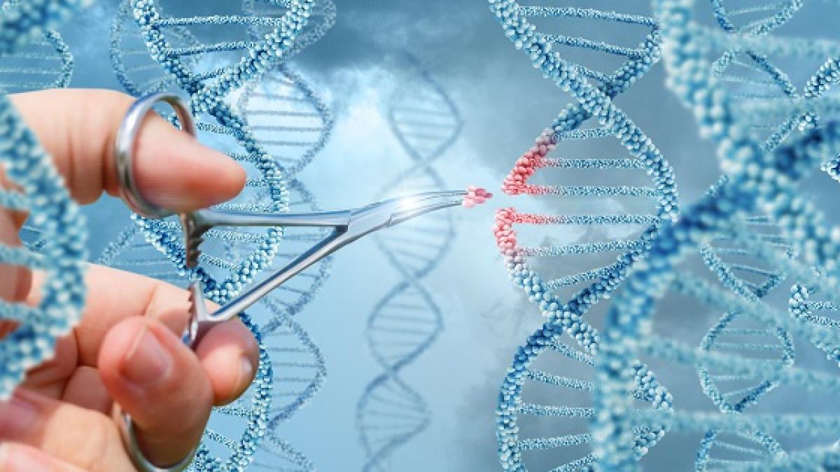 齊碁生醫獲美國 FDA IND 核准 以臺美雙報確立衰弱症細胞治療的國際法規位階