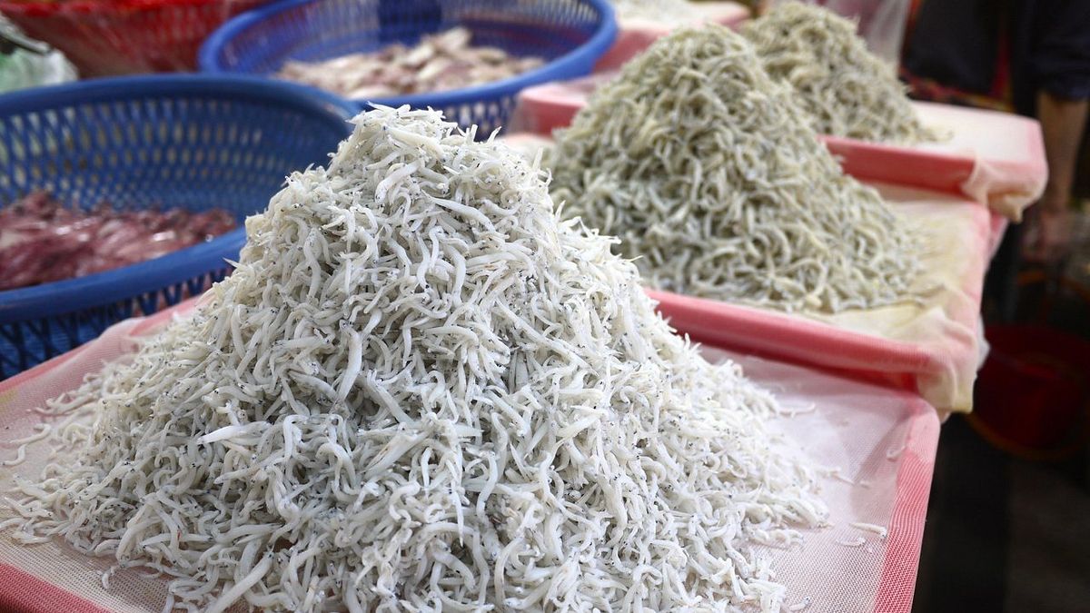 市場攤位上,可見到烹煮過的魩仔魚(圖片來源:上下游新聞市集提供) 市場攤位上,可見到烹煮過的魩仔魚(圖片來源:上下游新聞市集提供)