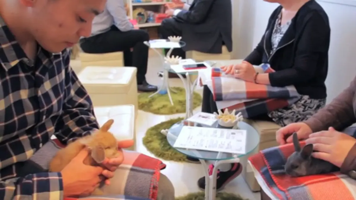 撫摸兔子的同時也放鬆、平靜了(圖/擷自影片)