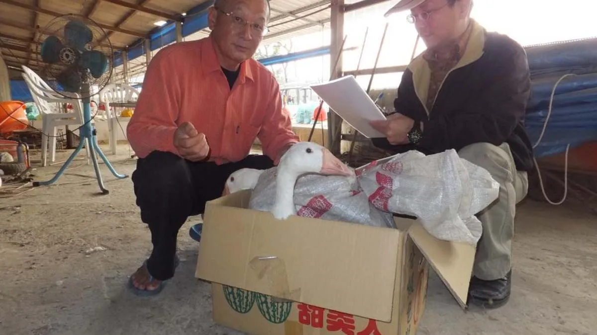 提升食品安全 高市動保處持續稽查畜禽產品