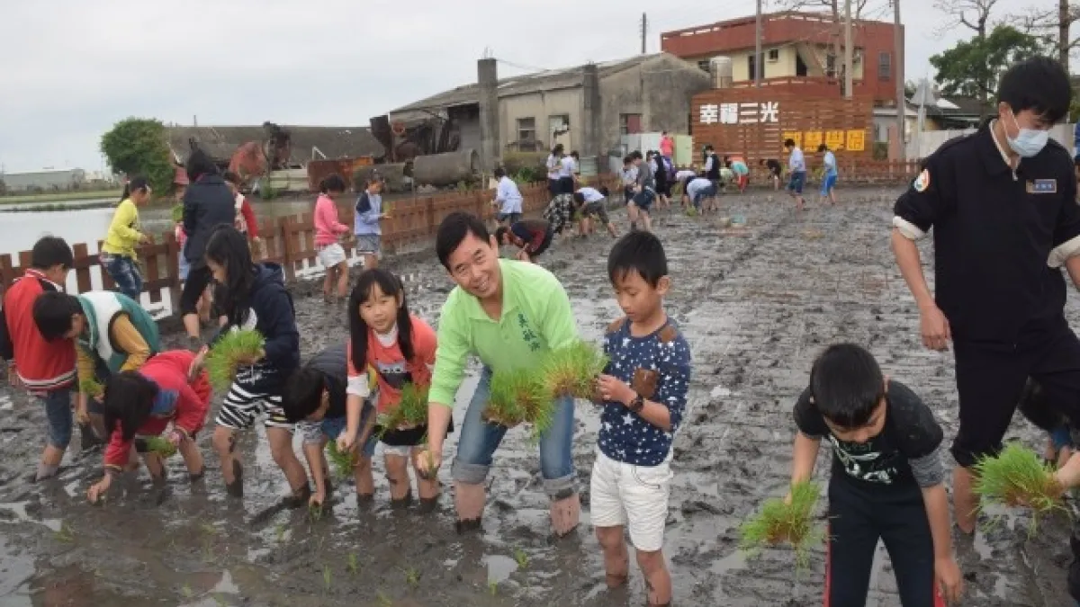 體驗粒粒皆辛苦 65位小學生寒天下田插秧