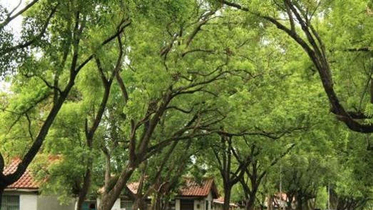 南投縣府希望將中興新村等文化景觀,進行活化利用與歷史保存能共榮雙贏。(圖/南投縣政府) 南投縣府希望將中興新村等文化景觀,進行活化利用與歷史保存能共榮雙贏。(圖/南投縣政府)