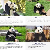 和歌山アドベンチャーワールド公式サイトのパンダ紹介。(アドベンチャーワールド公式サイトより) 和歌山アドベンチャーワールド公式サイトのパンダ紹介。(アドベンチャーワールド公式サイトより)