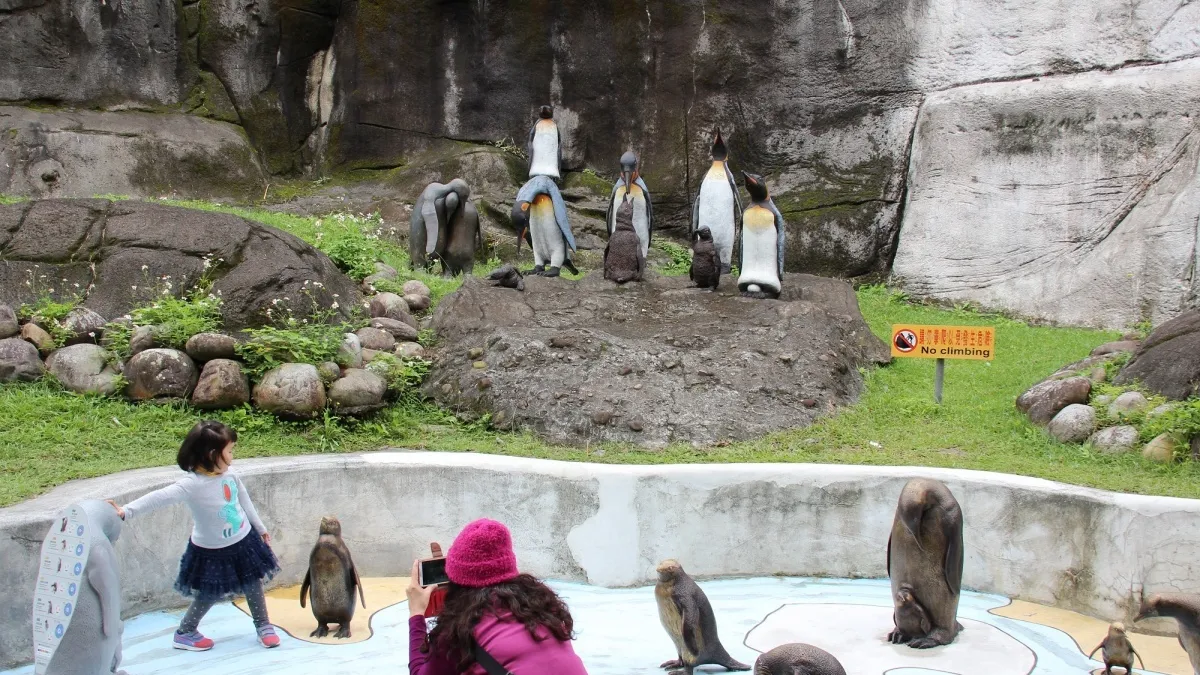 讓民眾更好「拍」 台北動物園設置動物雕塑