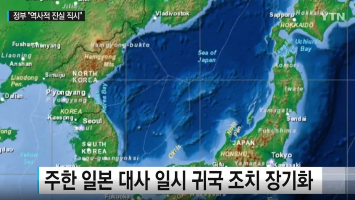除慰安婦問題外,獨島(日本稱竹島)主權爭議也是日韓關係長久以來未解的難體。(翻攝影片)