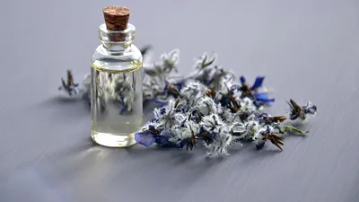 這兩款 Chance (邂逅) 和 Coco Mademoiselle (可可小姐) 是很經典的「絲柏花香調」。雖然寫過香水評論的化學家Luca Turin 給出普普的評價,我仍然覺得值得推薦。(圖/Mareefe@PEXELS)