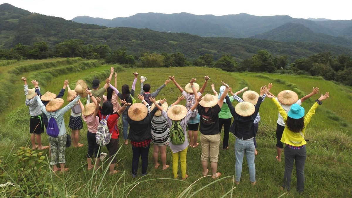 貢寮-和禾生產班水梯田。(圖/新北市農業局提供) 貢寮-和禾生產班水梯田。(圖/新北市農業局提供)