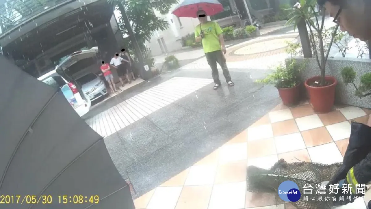 驚見「酷斯拉」雨中逛大街 消防隊捕抓兩米大蜥蜴