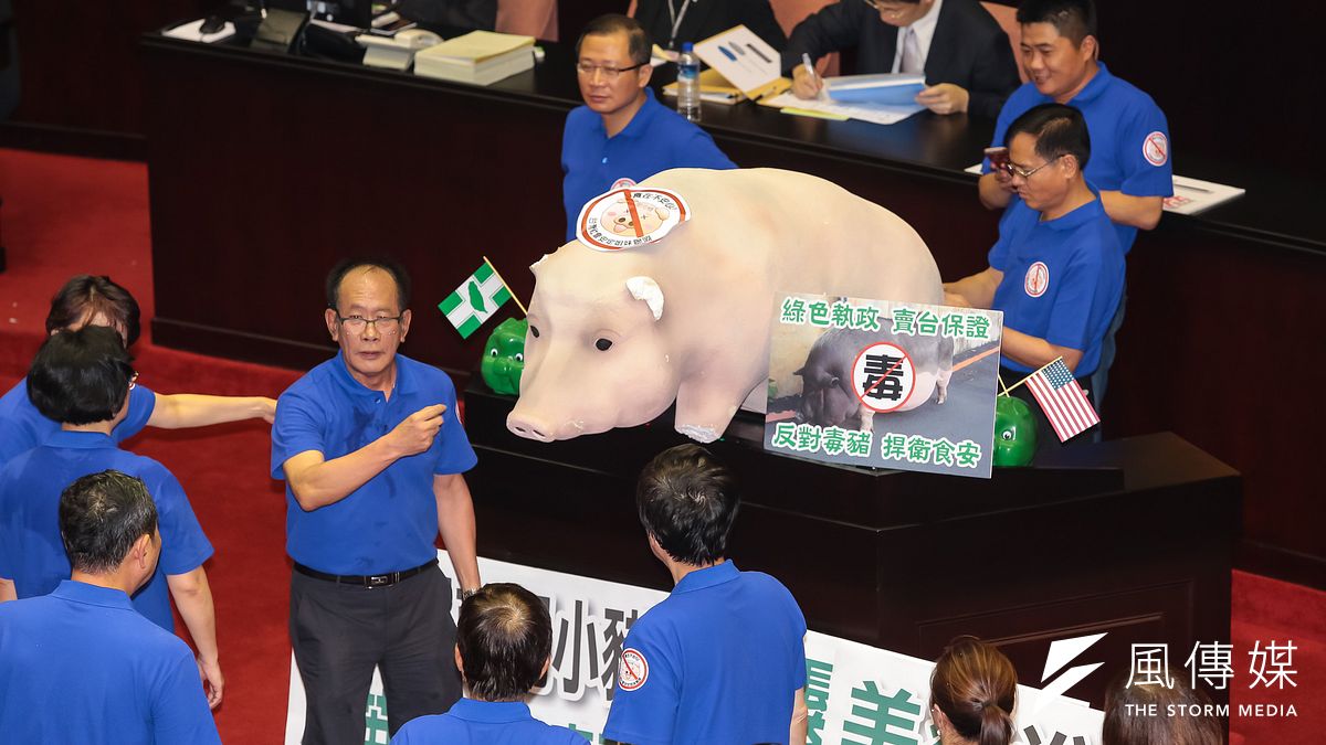 行政院長林全31日首次至立院施政報告,國民黨立委將場外抗議豬農的裝飾豬送入立院議場內。(顏麟宇攝) 行政院長林全31日首次至立院施政報告,國民黨立委將場外抗議豬農的裝飾豬送入立院議場內。(顏麟宇攝)