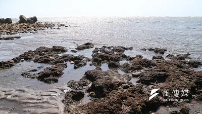 圖為觀新藻礁保護區。(顏麟宇攝)