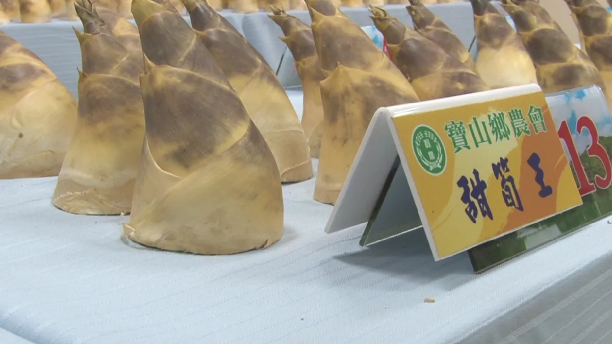 清甜爽口綠竹筍 甜度破表在寶山
