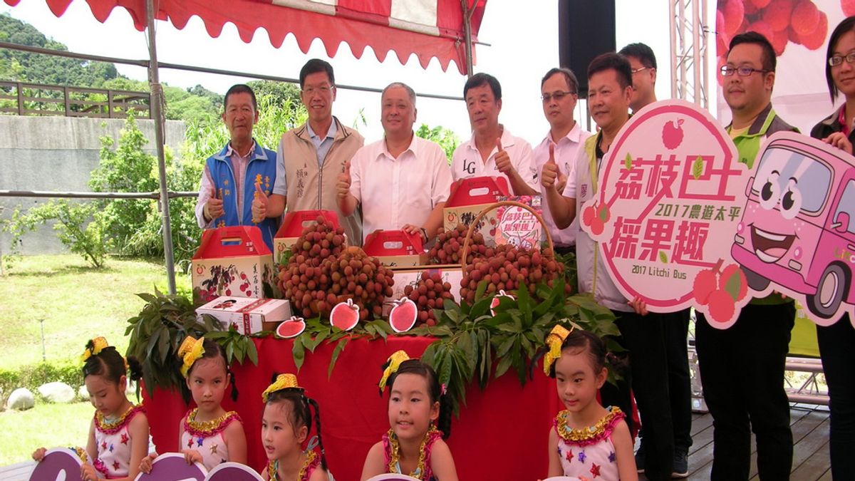 自由行採果「樂」 太平荔枝節啟動 自由行採果「樂」 太平荔枝節啟動