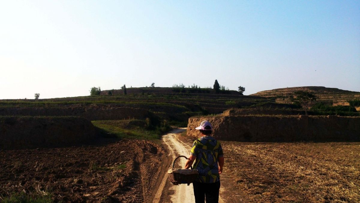 中國陝西、陝北鄉村各有各的美好風景。(圖/旅讀中國) 中國陝西、陝北鄉村各有各的美好風景。(圖/旅讀中國)