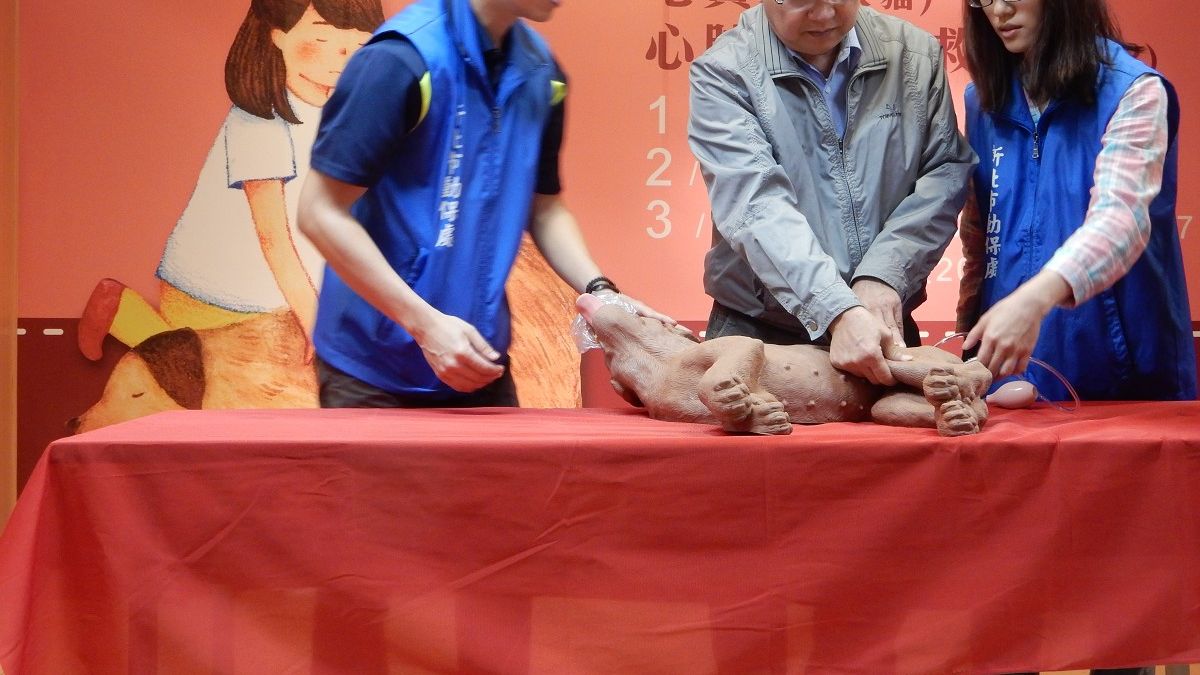 毛寶貝CPR急救術 新北動保處:示範影片可上網截取 毛寶貝CPR急救術 新北動保處:示範影片可上網截取