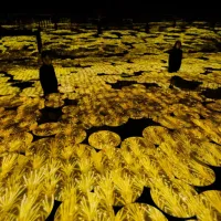 チームラボボーダレスで黄金色の稲穂や秋の花々が広がる空間演出とともに光の彫刻による特別展が開催されている。チームラボ『地形の記憶』(写真/ ©チームラボ提供) チームラボボーダレスで黄金色の稲穂や秋の花々が広がる空間演出とともに光の彫刻による特別展が開催されている。チームラボ『地形の記憶』(写真/ ©チームラボ提供)