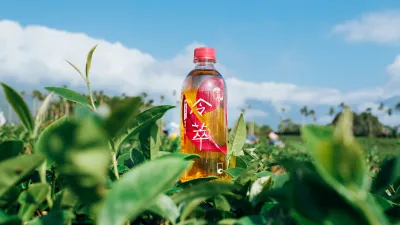 品茶不僅講究口感、也是一種態度。以冷萃來提升茶中更多層甘甜,是現代人的新喜好。