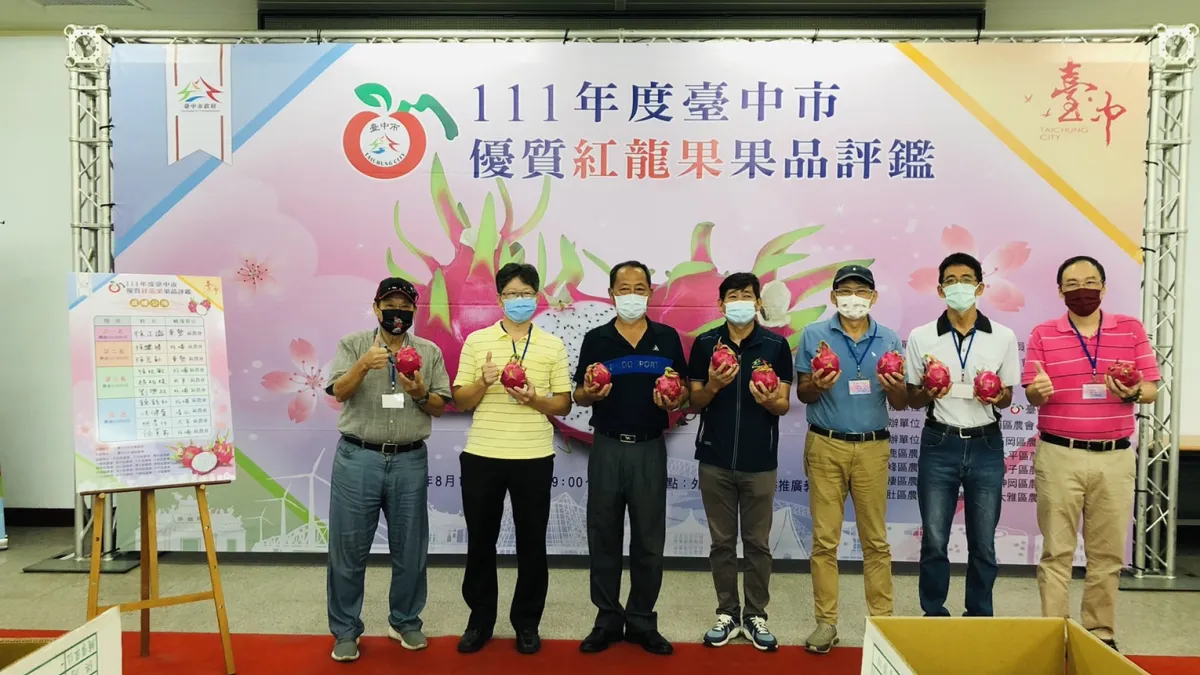 「111年度台中市優質紅龍果評鑑」,全台中市計有60組產銷班農民報名參賽,由東勢區徐正識勇奪冠軍,成為今年度的紅龍果王。(圖/台中市政府提供)