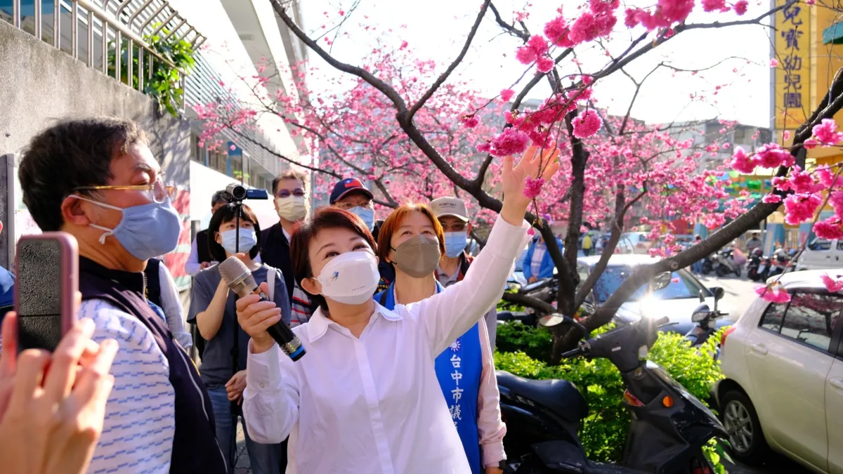 台中市北屯區「平昌櫻花祭」即日起至3月20日浪漫登場,盧秀燕市長出席參加賞櫻。(圖/台中市政府)