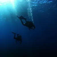 沖縄でダイビング中の事故により、台湾人男性2名が命を落とした。(イメージ写真/Unsplash) 沖縄でダイビング中の事故により、台湾人男性2名が命を落とした。(イメージ写真/Unsplash)