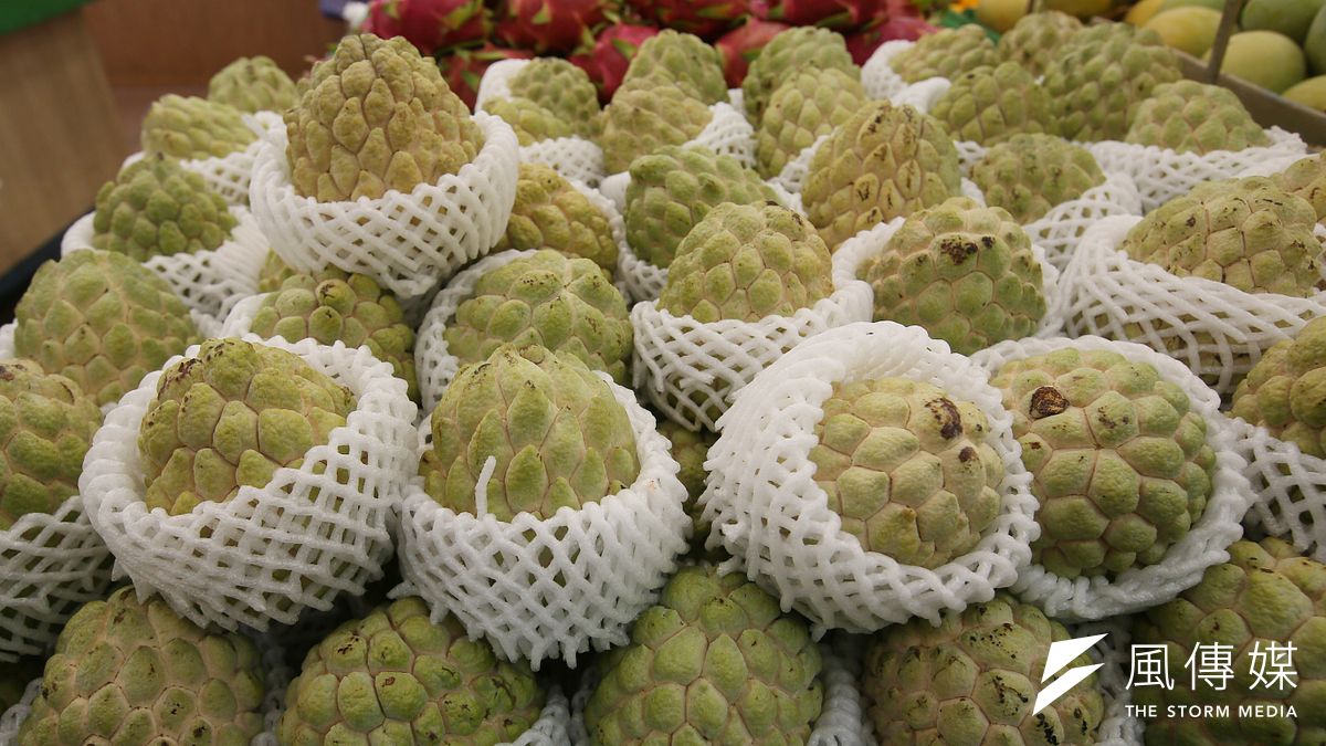 中國宣布9月20日起暫停台灣水果釋迦、蓮霧輸入。(資料照,柯承惠攝) 中國宣布9月20日起暫停台灣水果釋迦、蓮霧輸入。(資料照,柯承惠攝)