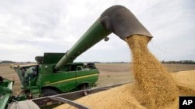 2018年9月21日,邁克·斯塔基(Mike Starkey) 在印第安納州布朗斯堡收割莊稼時從聯合收割機上卸下大豆。 中美之間不斷升級的貿易戰正在引起農民的焦慮。