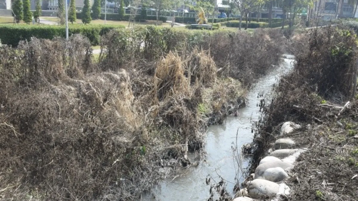可惜了日南公園優雅環境 水溝沒人管,民眾大倒胃口