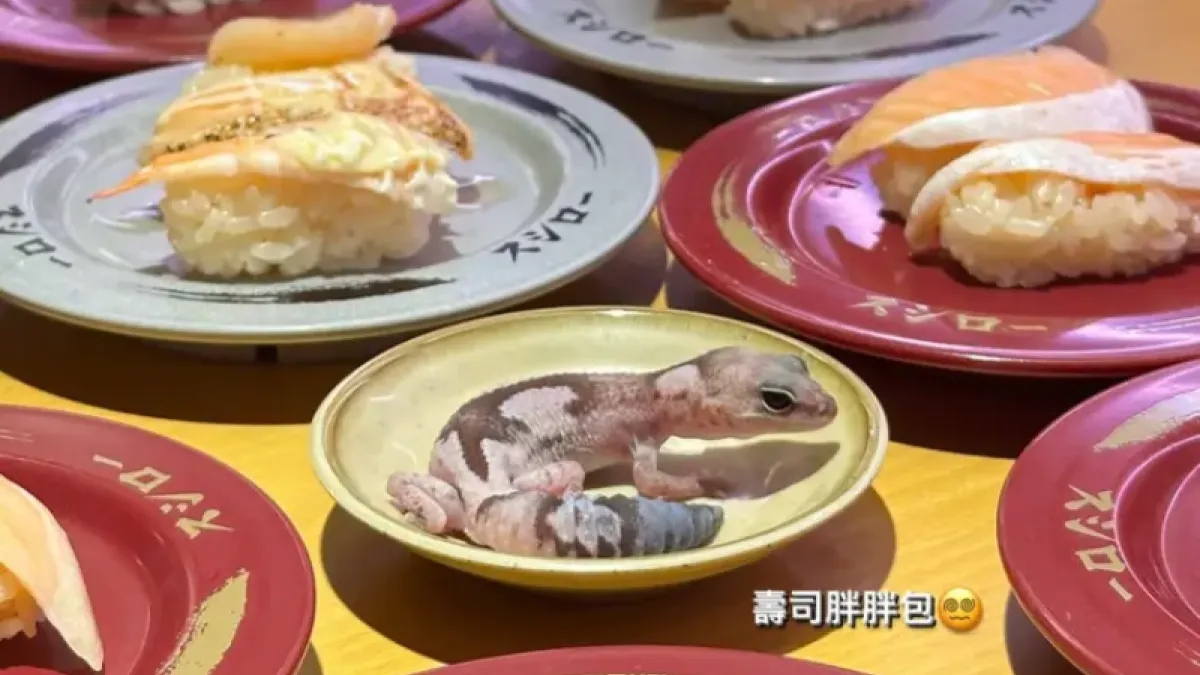 日前一名女大學生帶著寵物守宮到壽司郎用餐,還將守宮放在醬油碟上。(圖/翻攝自Dcard)