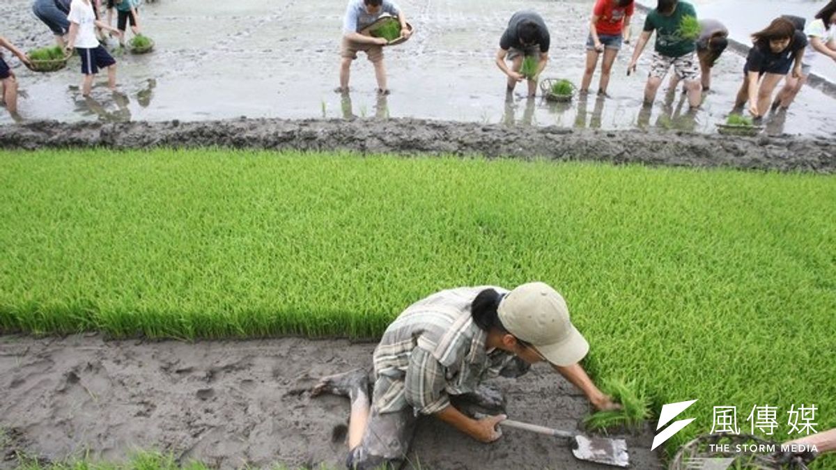 這幾年來不少年輕人投入農業耕種,但老農津貼吃掉一半的農業預算,也吃掉扶植產業的機會。(吳逸驊攝) 這幾年來不少年輕人投入農業耕種,但老農津貼吃掉一半的農業預算,也吃掉扶植產業的機會。(吳逸驊攝)