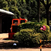 ランタン鑑賞と観光を組み合わせた旅行を促進するため、台湾高速鉄道の旅行商品「高鉄假期(高鉄ホリデー)」がお得な鑑賞ツアーを多数発売した。(写真:台湾高鉄提供) ランタン鑑賞と観光を組み合わせた旅行を促進するため、台湾高速鉄道の旅行商品「高鉄假期(高鉄ホリデー)」がお得な鑑賞ツアーを多数発売した。(写真:台湾高鉄提供)