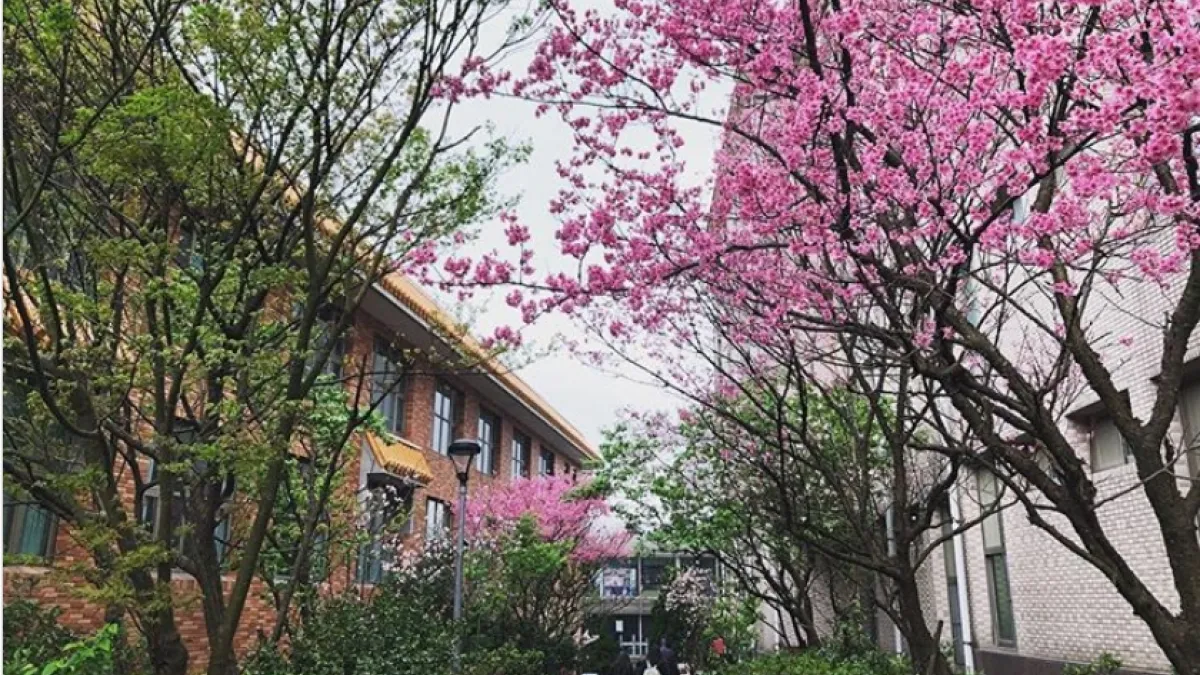 專心在山上練功,文大是學子鍛鍊專業的最暖靠山。(圖/文化大學提供)