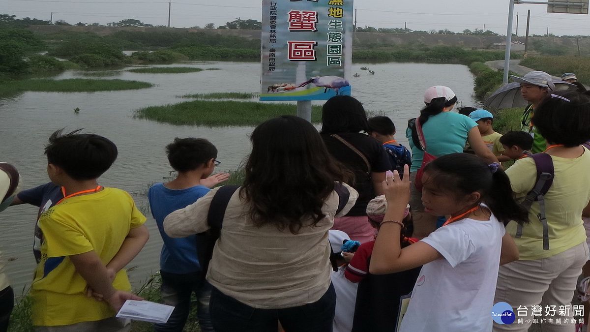 快報名 學甲濕地環境解說營報名今日截止 快報名 學甲濕地環境解說營報名今日截止