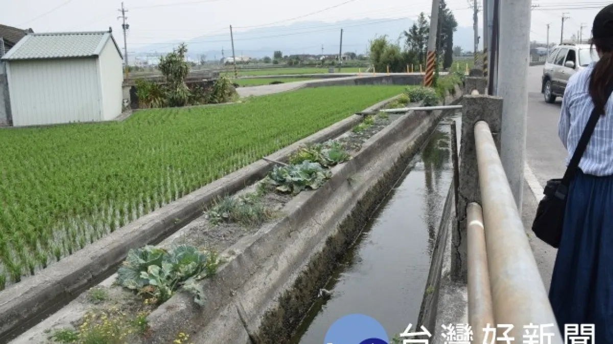 大甲幸福里污水危害嚴重 居民籲市府協助改善