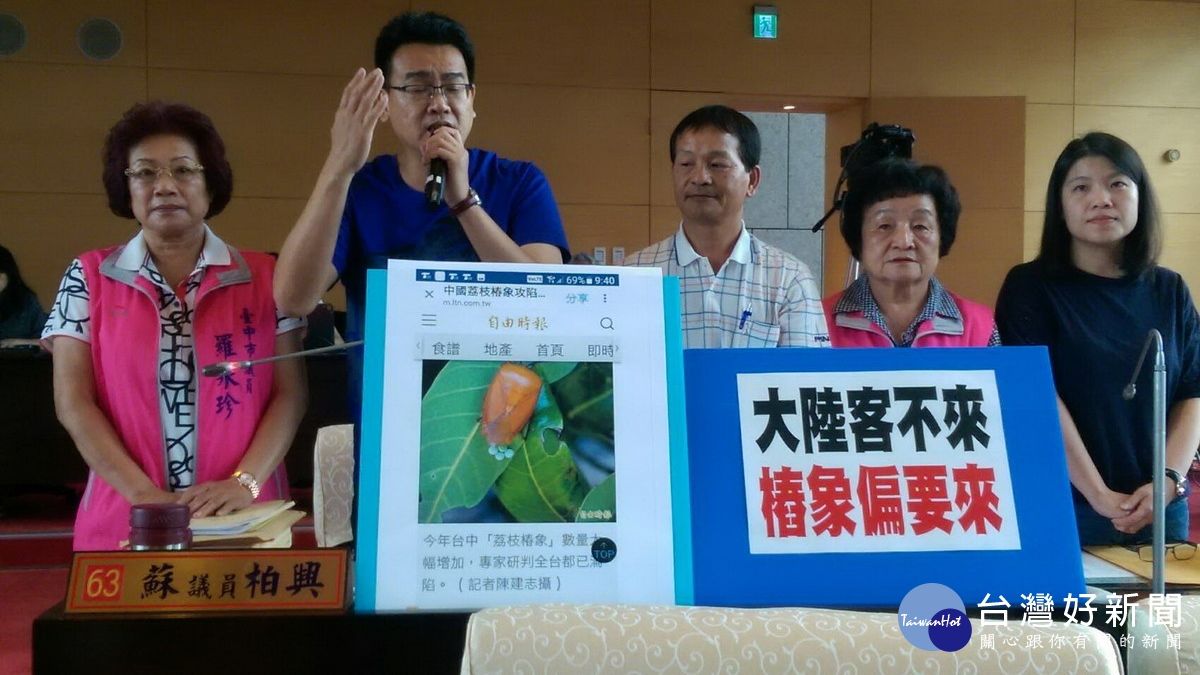 大陸荔枝椿象肆虐全台 一切都是阿共的陰謀嗎? 大陸荔枝椿象肆虐全台 一切都是阿共的陰謀嗎?