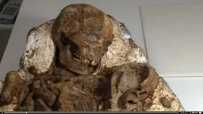 考古學家在台中地區發現4800年前的人類骨骸(翻攝網路影片)