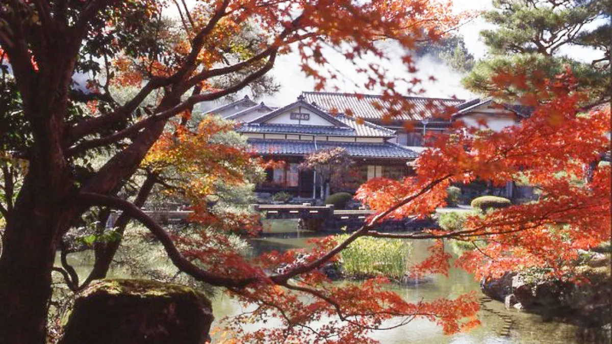 日本有不少傳統日式旅館地處秘境,座擁自然美景層層環繞,你造訪過幾間?(圖/ZEKKEI Japan提供)