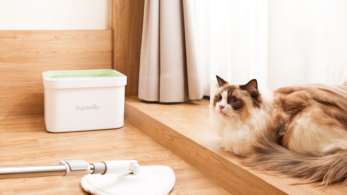 聰明打掃專家《驅塵氏》與《好神拖》攜手家事達人陳安祺老師分享新年掃除幸福守則, 透過輕鬆、簡單的「手動」清掃,打造專屬新年居家好運勢。 聰明打掃專家《驅塵氏》與《好神拖》攜手家事達人陳安祺老師分享新年掃除幸福守則, 透過輕鬆、簡單的「手動」清掃,打造專屬新年居家好運勢。