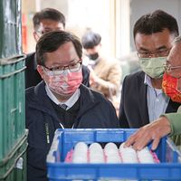行政院副院長鄭文燦(左)、農委會主委陳吉仲(中)訪視雞蛋供應情形。(資料照,顏麟宇攝) 行政院副院長鄭文燦(左)、農委會主委陳吉仲(中)訪視雞蛋供應情形。(資料照,顏麟宇攝)