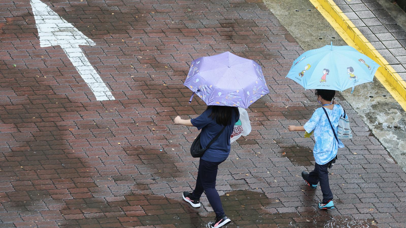 明天的天氣/白海豚颱風帶來最強風雨!全台天氣大轉變「豪雨持續狂炸兩天」,下週氣象一次看清楚
