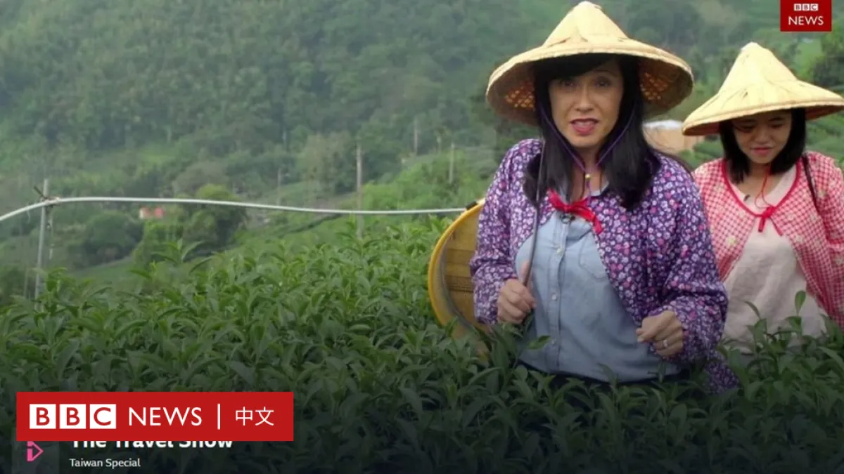 BBC旅遊秀主持人羅伯茨(左)到阿里山體驗採茶(BBC中文網)