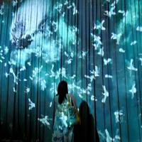 Science Centre Singapore Presents the Global Debut of ONE Ocean, an Immersive Ocean Science Exhibition Science Centre Singapore Presents the Global Debut of ONE Ocean, an Immersive Ocean Science Exhibition