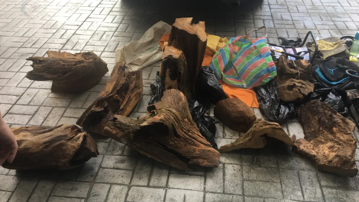 台7線小客車行跡可疑 警盤查到120公斤肖楠木
